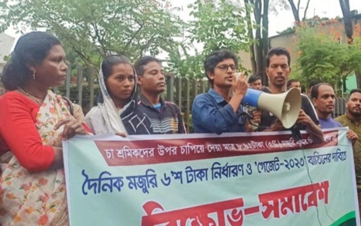 চা শ্রমিকদের ইনক্রিমেন্ট ৮.৯২ টাকা, প্রতিবাদে বিক্ষোভ